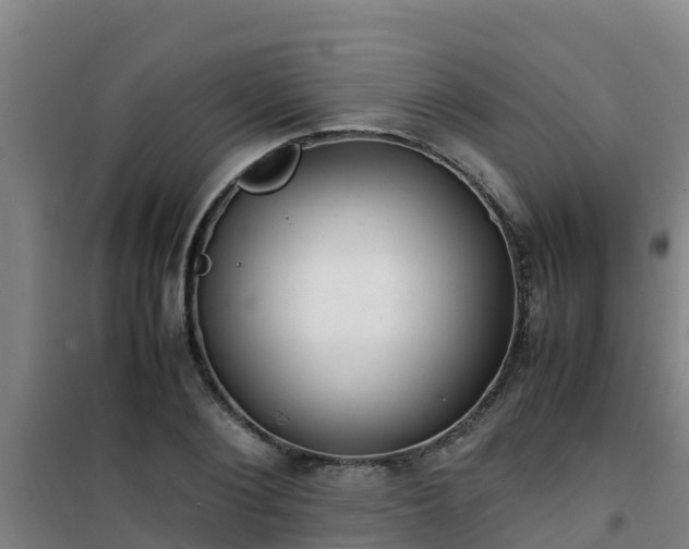 X0000101100884200807031748