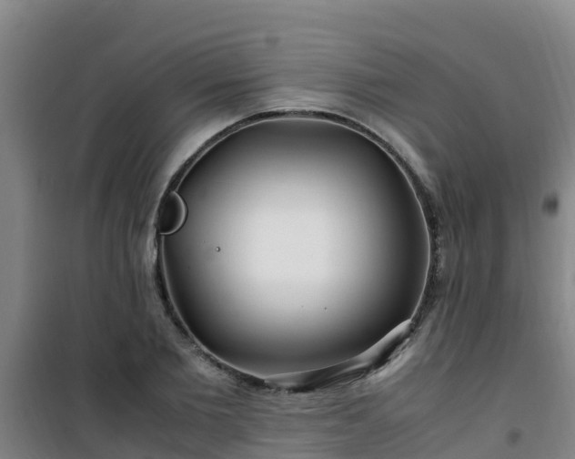 X0000101100885200807031748