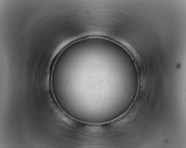 X0000101100886200807031748