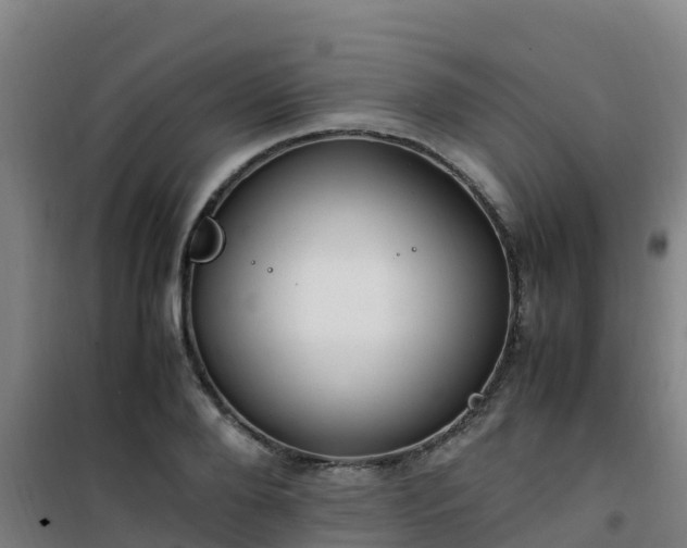 X0000101100888200807031748