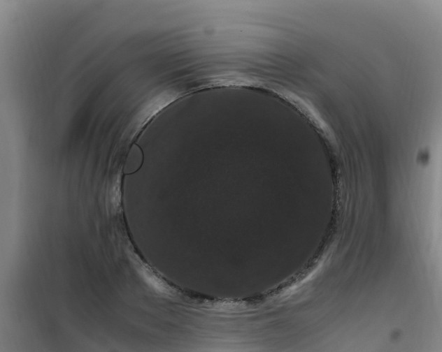X0000101100889200807031748