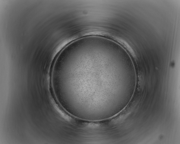 X0000101100890200807031748