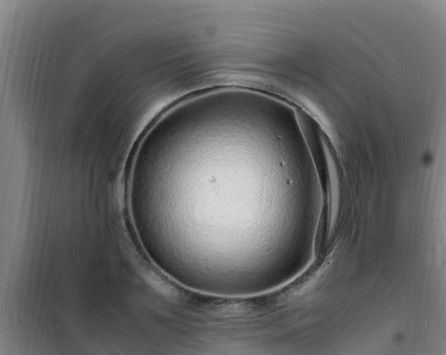 X0000101100891200807031748