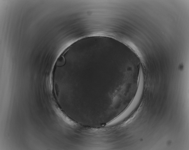 X0000101100892200807031748