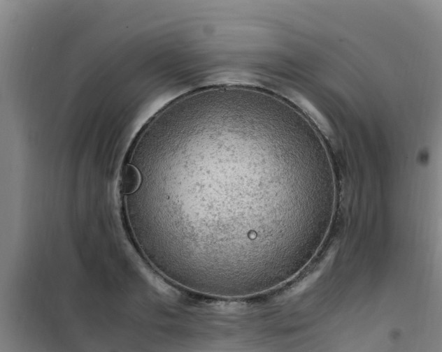 X0000101100893200807031748