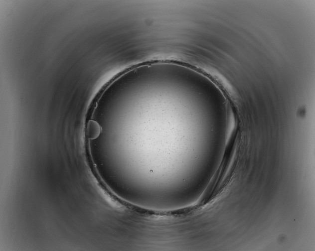 X0000101100894200807031748