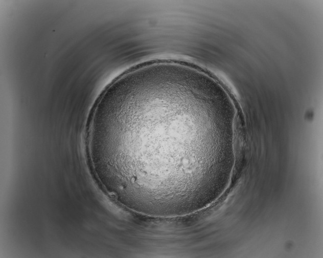 X0000101100895200807031748