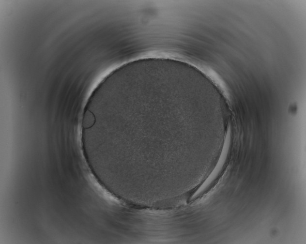 X0000101100896200807031748