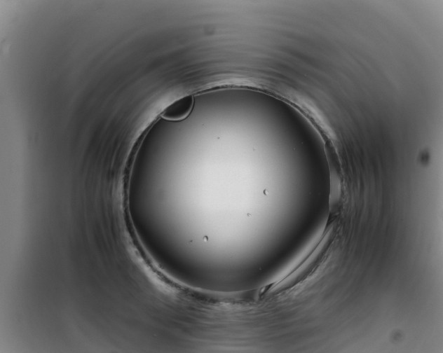 X0000101100898200807031747