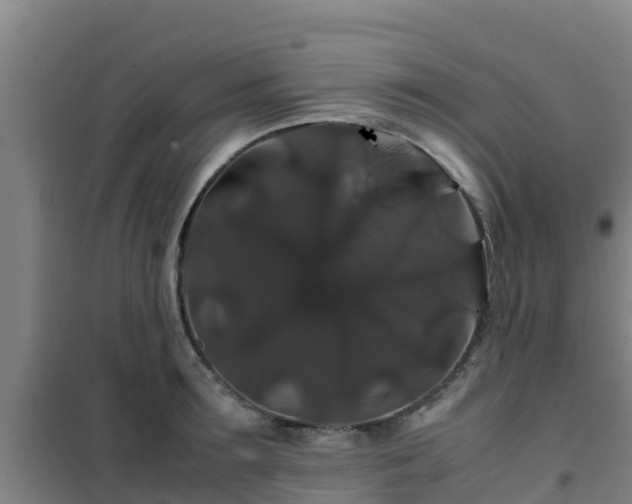 X0000101100899200807031747