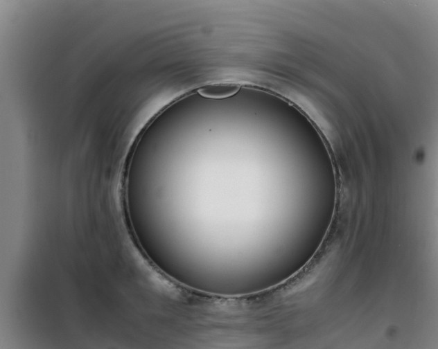 X0000101100901200807031747