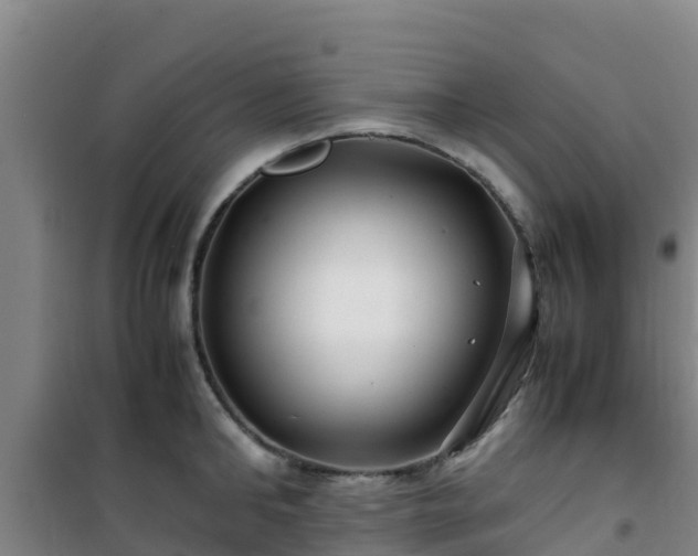 X0000101100902200807031747
