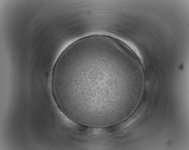 X0000101100903200807031747