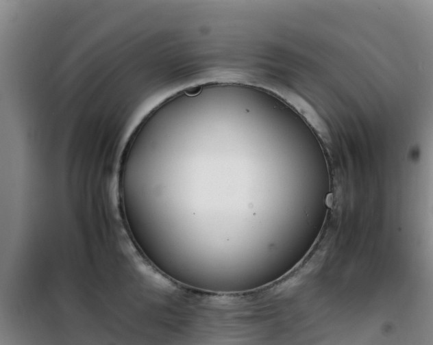 X0000101100904200807031747