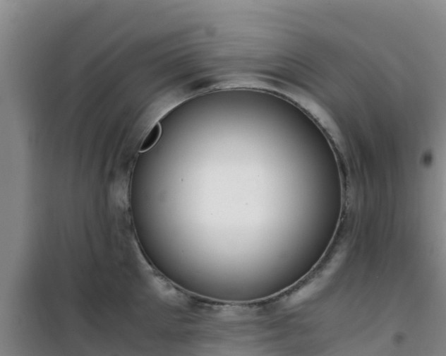 X0000101100905200807031747