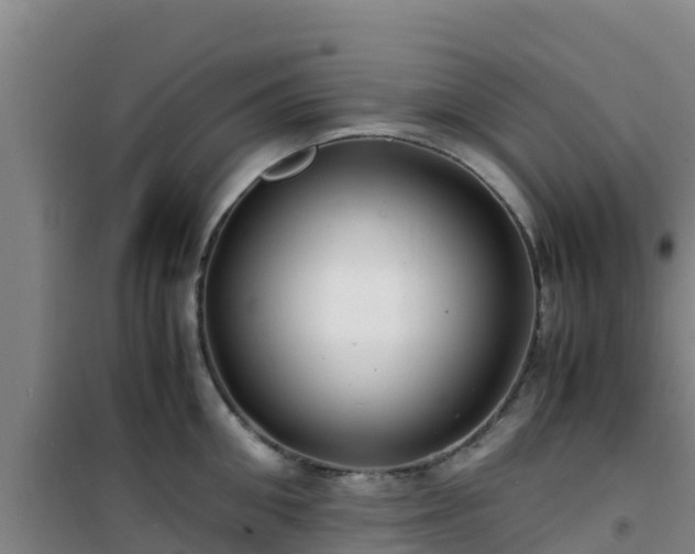 X0000101100906200807031747