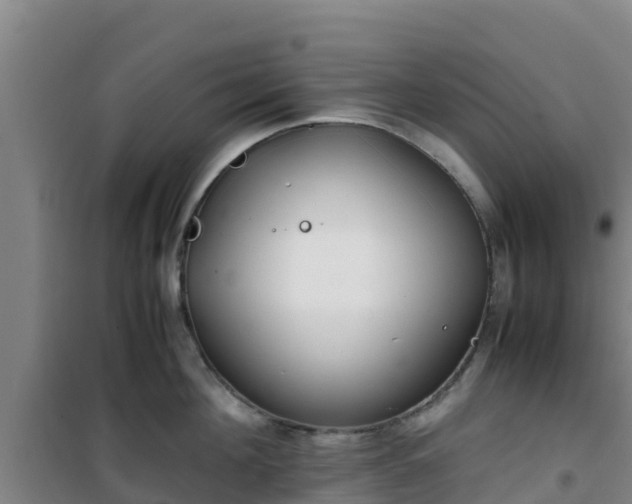 X0000101100908200807031747