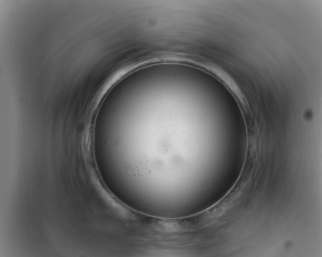 X0000101100911200807031747