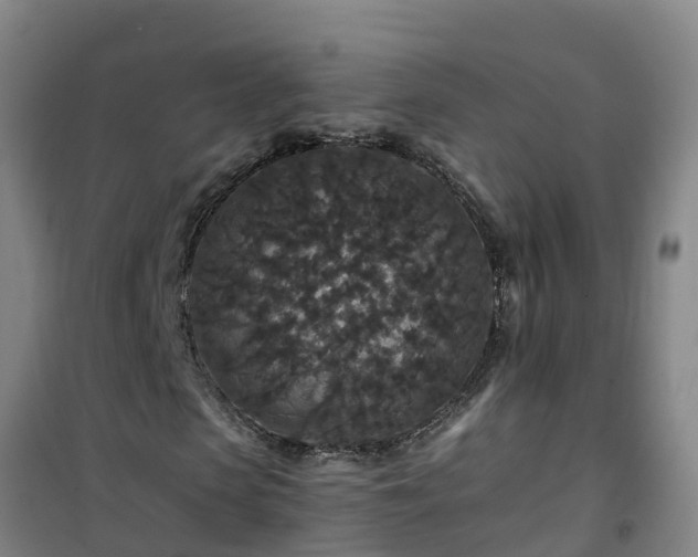 X0000101100913200807031746