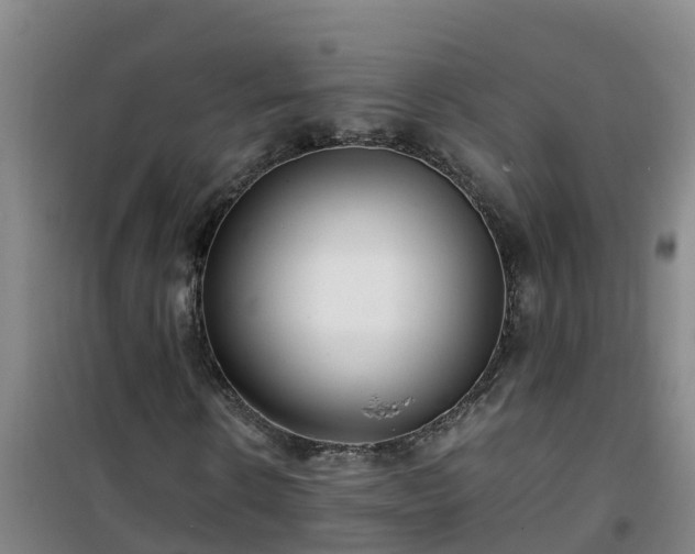 X0000101100914200807031746