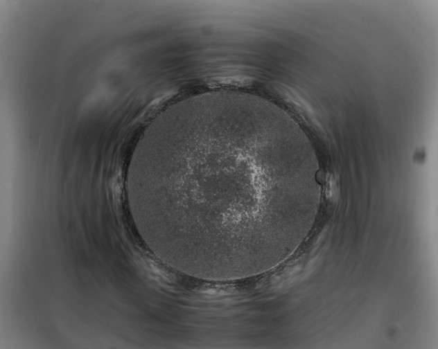 X0000101100915200807031746