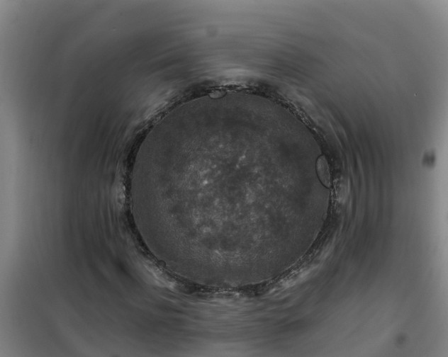 X0000101100916200807031746