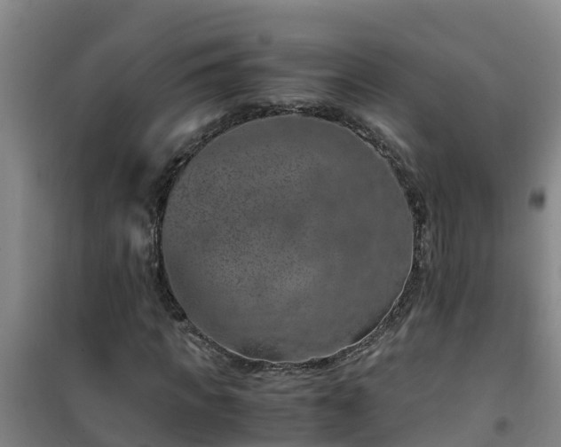 X0000101100917200807031746