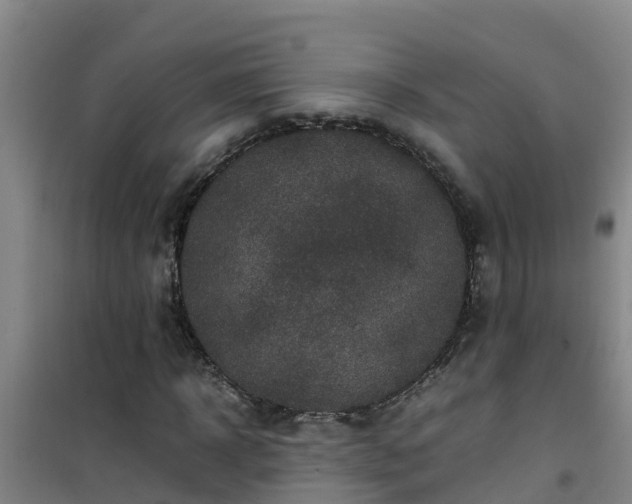 X0000101100918200807031747