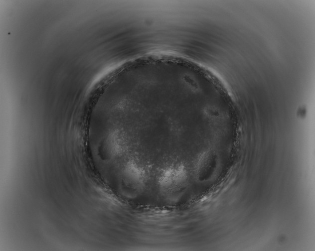 X0000101100919200807031747