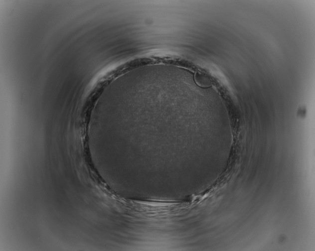 X0000101100920200807031747