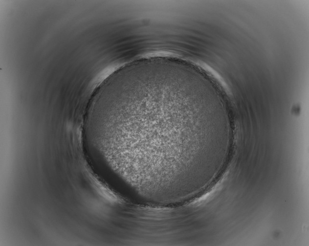 X0000101100921200807031747