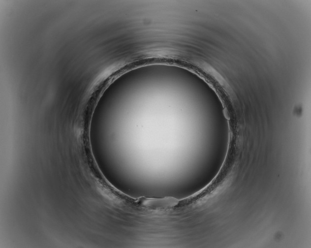 X0000101100922200807031747