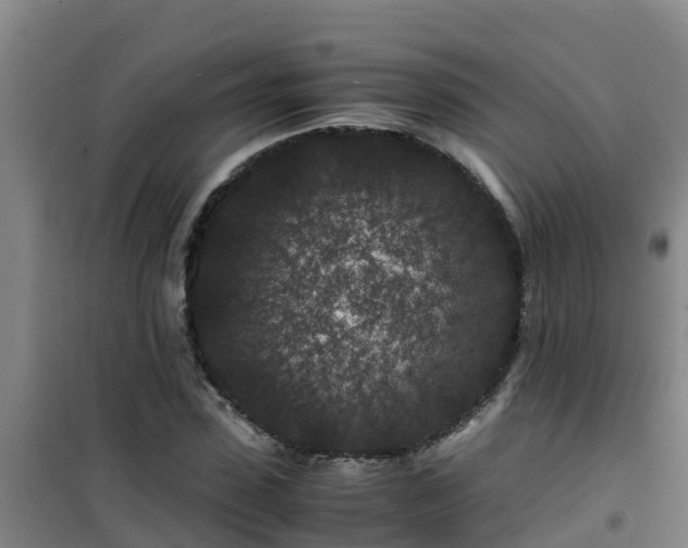 X0000101100923200807031747