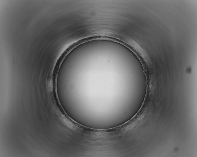 X0000101100924200807031747