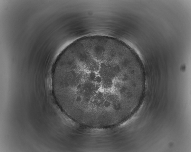 X0000101100925200807031747