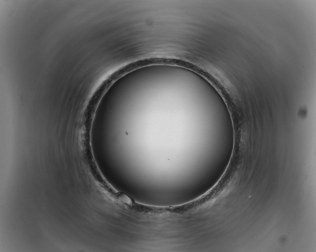 X0000101100926200807031747
