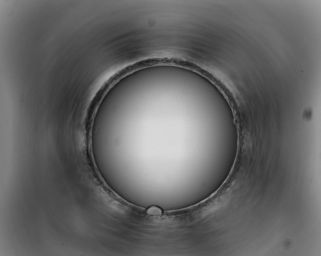 X0000101100927200807031747