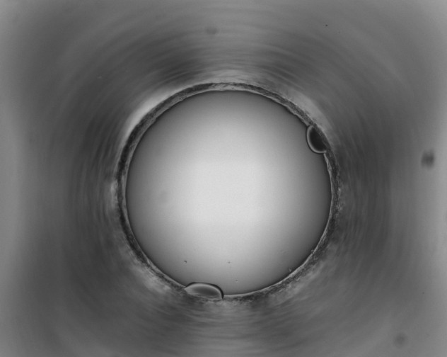 X0000101100928200807031747