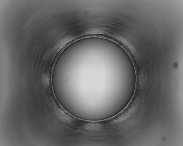X0000101100929200807031747