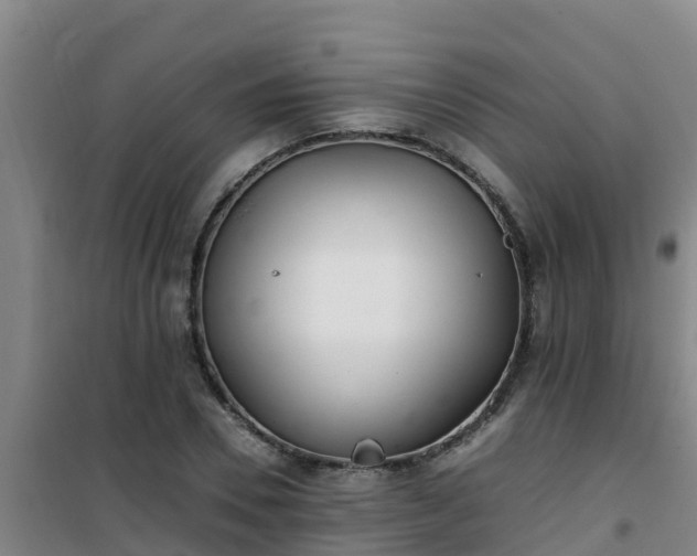X0000101100930200807031747