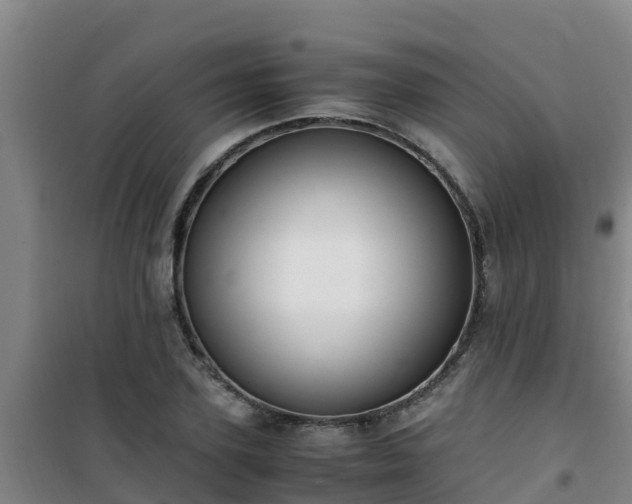X0000101100931200807031747