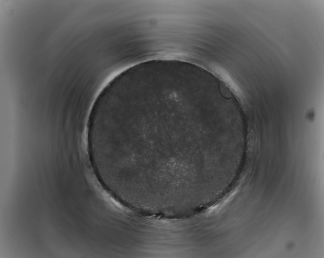 X0000101100932200807031747