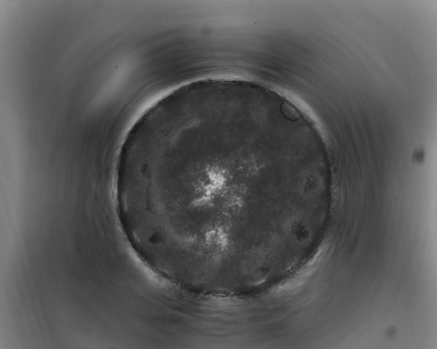X0000101100935200807031747