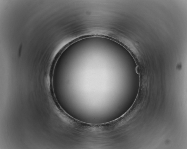 X0000101100936200807031747