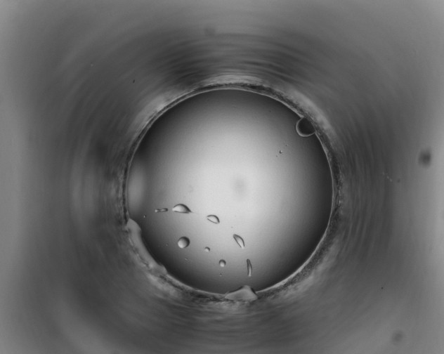 X0000101100937200807031747
