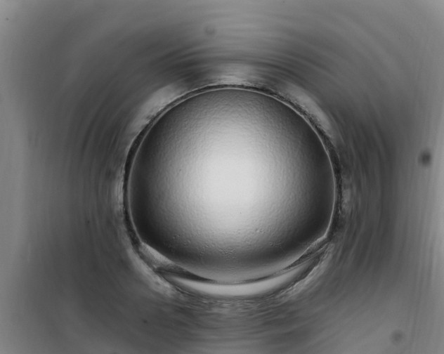 X0000101100938200807031747