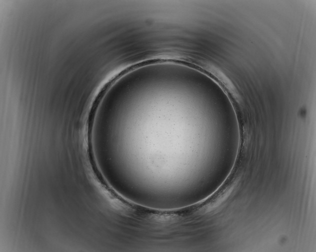 X0000101100939200807031747