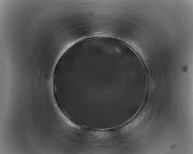 X0000101100941200807031747