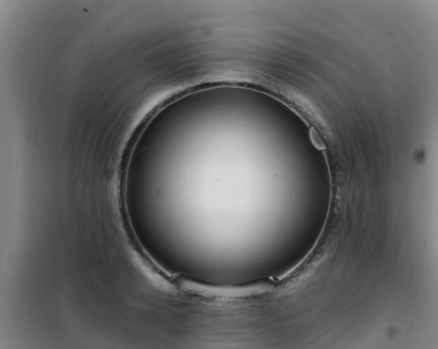 X0000101100942200807031747