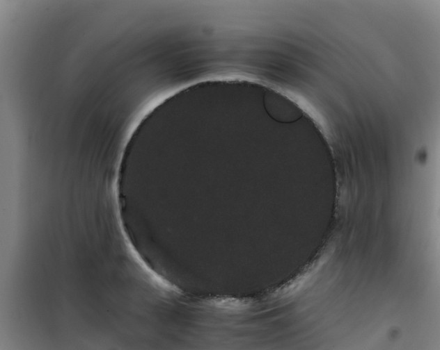 X0000101100943200807031747